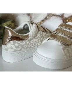 Baskets><noscript><img width=