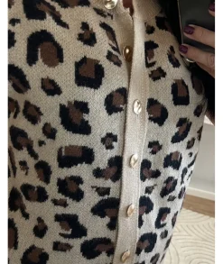 Pulls / Gilets><noscript><img width=