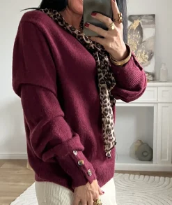 Pulls / Gilets><noscript><img width=