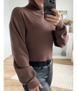 Pulls / Gilets>La boutique de Lilie SOUS PULL DEBORAH CROP TOP Chocolat